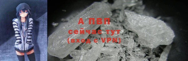 эйфоретик Аркадак